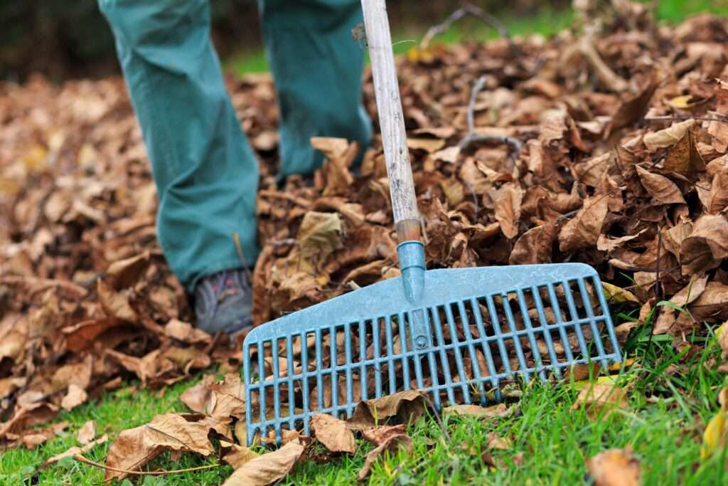 MP- Reinigungsdienst